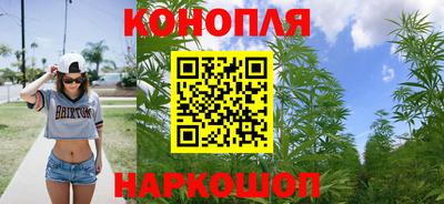 молекула духа Камышлов