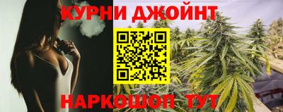 молекула духа Камышлов