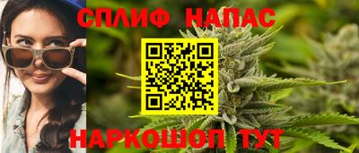 молекула духа Камышлов